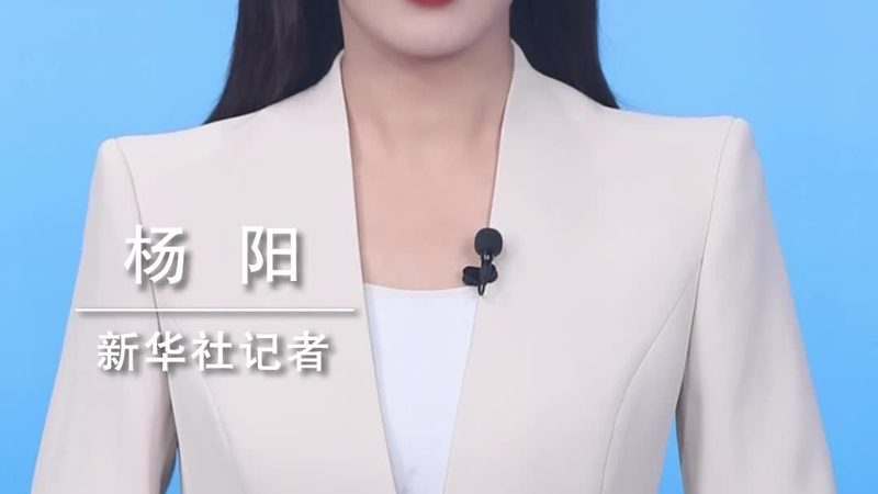 移动端CRM系统：剖析其优势与潜在挑战